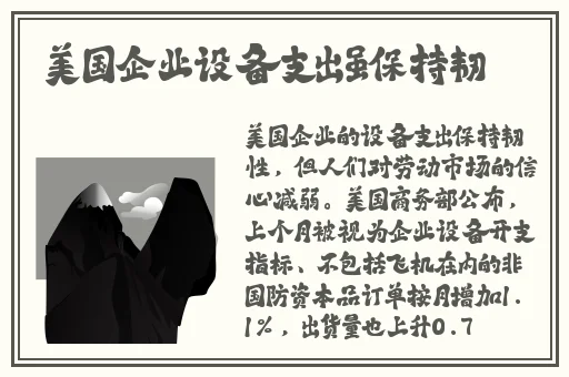 苍井空 电影