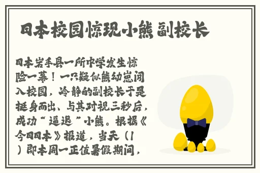 亚洲精品无码久久久久app